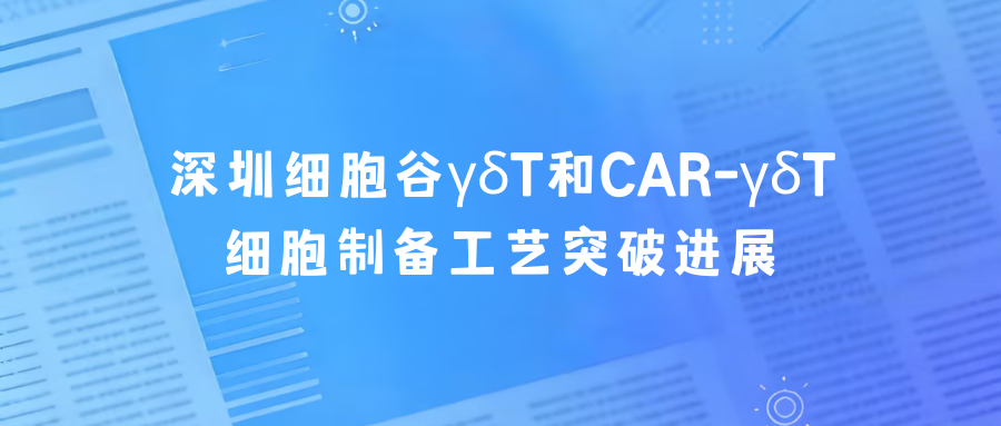 科研赋能|深圳K8凯发(中国)γδT和CAR-γδT细胞制备工艺突破进展