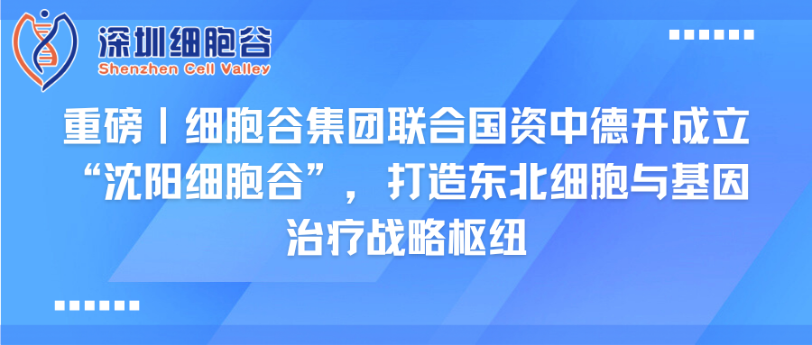 重磅｜K8凯发(中国)集团联合国资中德开创建“沈阳K8凯发(中国)”，打造东北细胞与基因治疗战略枢纽